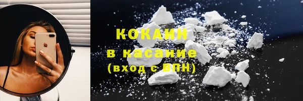 твердый Богданович