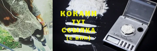 твердый Богданович