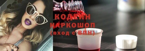 твердый Богданович
