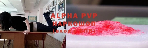 твердый Богданович