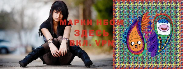 твердый Богданович
