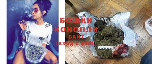 твердый Богданович
