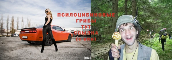 мефедрон Богородицк
