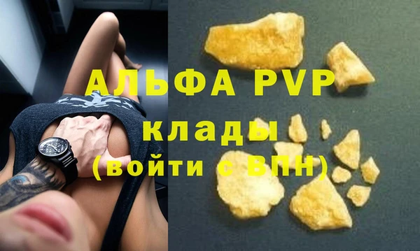твердый Богданович