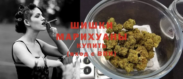 твердый Богданович