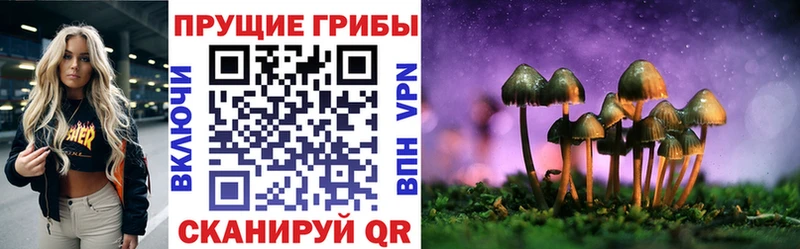 Галлюциногенные грибы Psilocybe дарнет шоп Ноябрьск